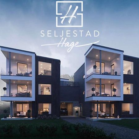 شقة Veien Til Senja فينسنس المظهر الخارجي الصورة